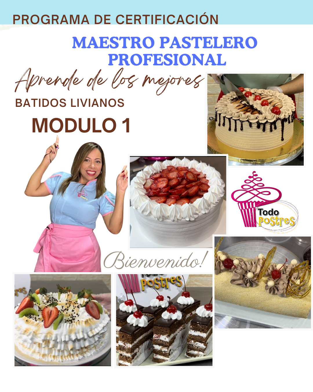 Módulo I: BATIDOS LIVIANOS -BASES DE PASTELERIA